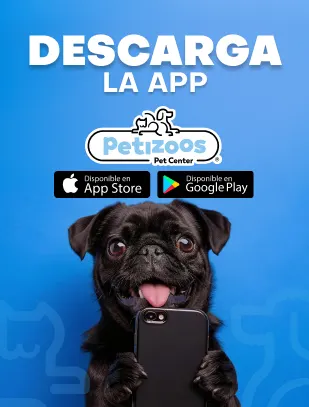 BLOG2- MOBILE