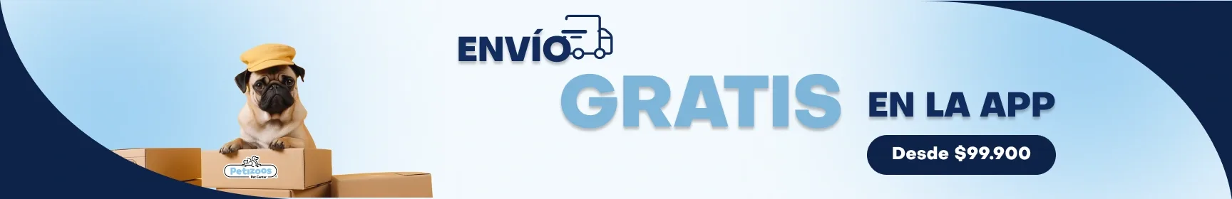 Banner envio gratis desktop